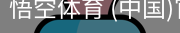 悟空体育